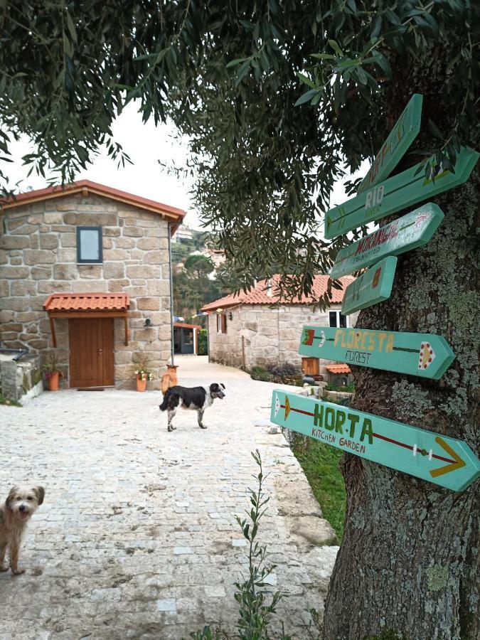 Couto Verde Agua Agroturismo E Agricultura Biologica מראה חיצוני תמונה