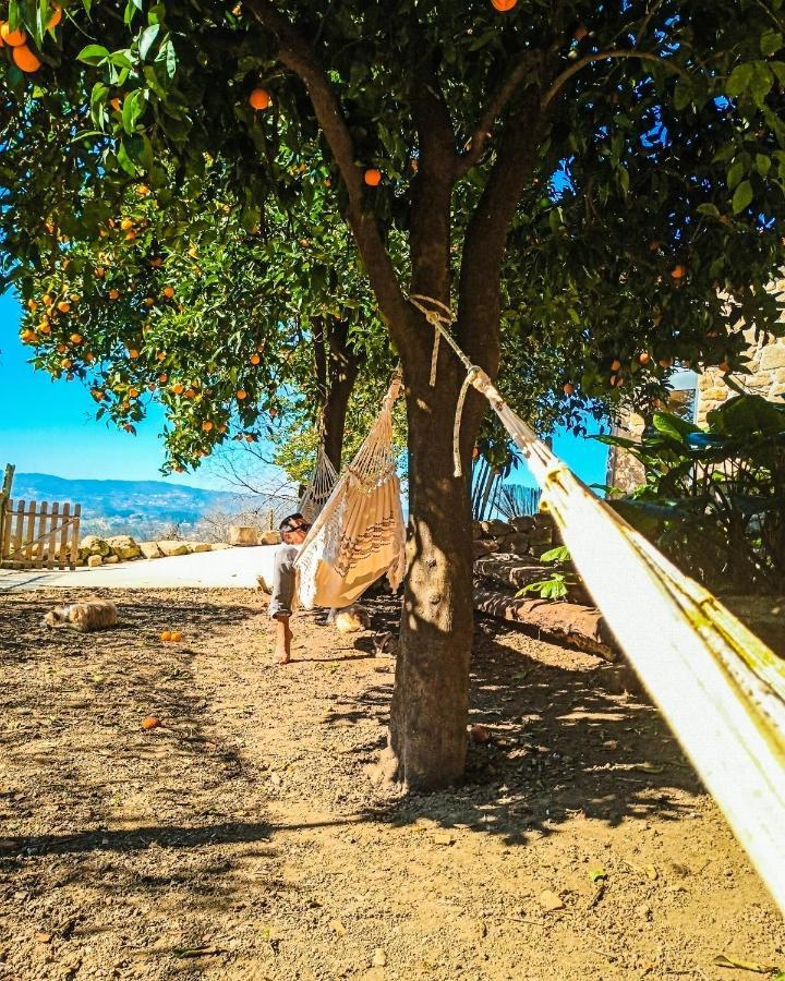 Couto Verde Agua Agroturismo E Agricultura Biologica מראה חיצוני תמונה