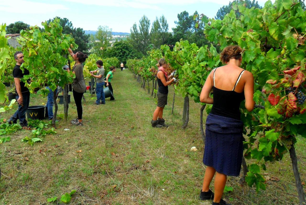 Couto Verde Agua Agroturismo E Agricultura Biologica מראה חיצוני תמונה