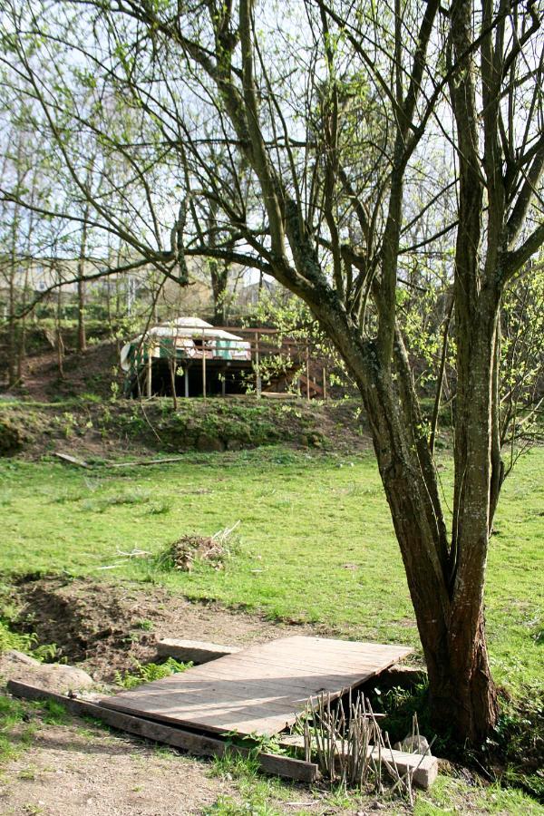 Couto Verde Agua Agroturismo E Agricultura Biologica מראה חיצוני תמונה