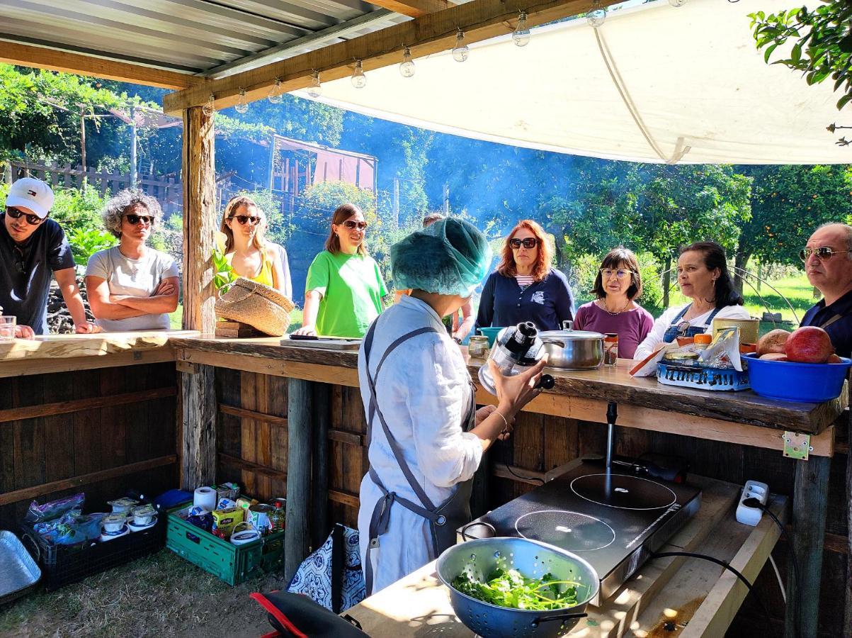 Couto Verde Agua Agroturismo E Agricultura Biologica מראה חיצוני תמונה